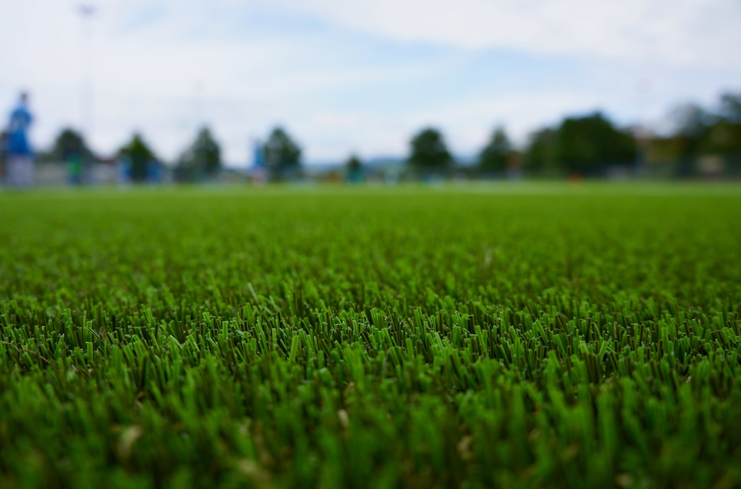 Rooftop turf